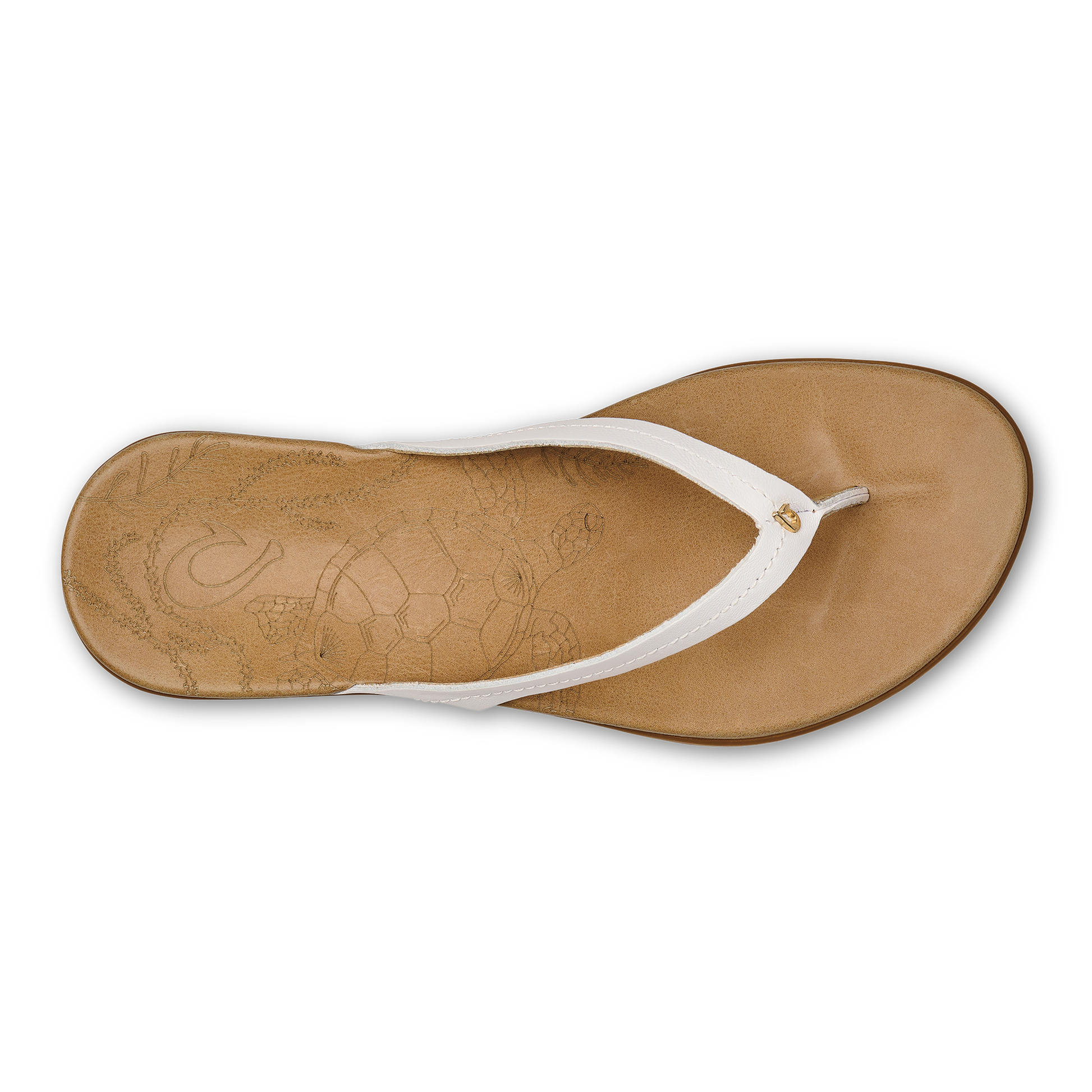 Bright White / Golden Sand